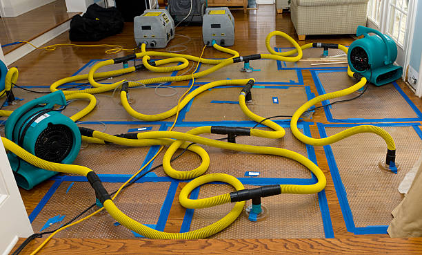 Professional Water Extraction technician working in Cotuit, MA